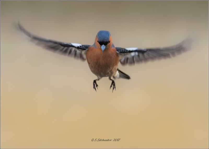 Зависание...photo preview