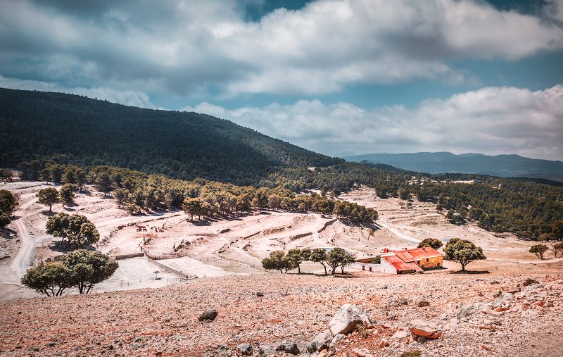 зоопарк, сафари парк, животные, звери, небо, горы, дом, облака, *В мире животных*photo preview