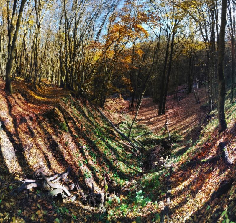 Осенние бродилки фото превью