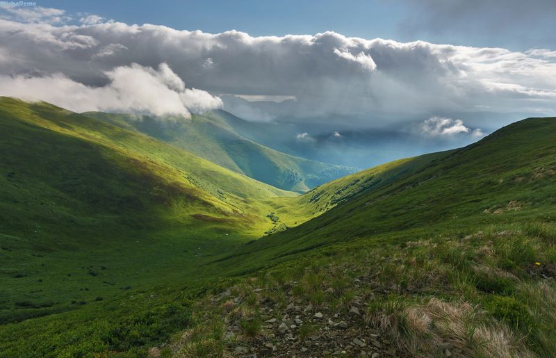 Summer motivesphoto preview