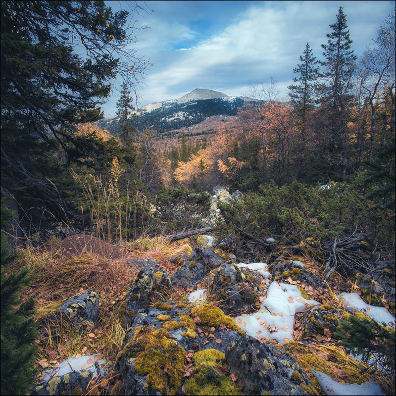 урал Средний Нургушphoto preview