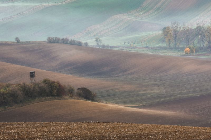 южная моравия, осень, поля, туман Утренние грезыphoto preview