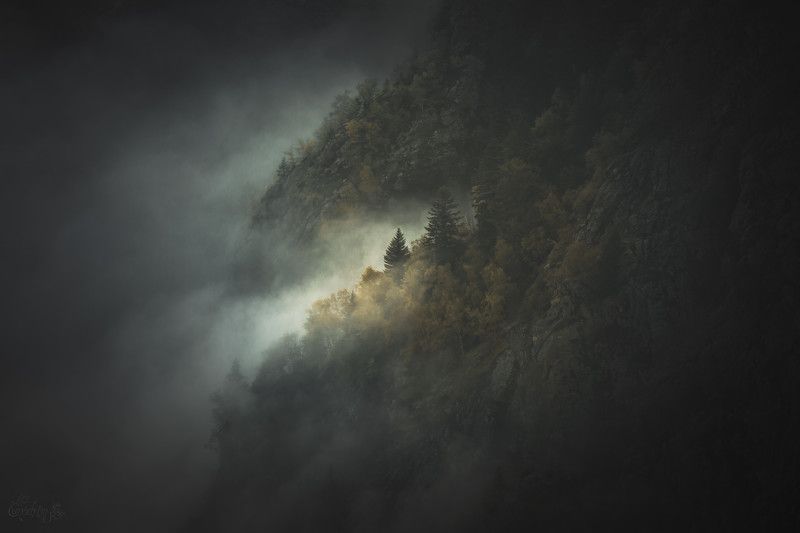 nature, landscapes, nature photography, mountain, forest, national park, trees, tolkien, lord of the rings, blut aus nord, france, pyrenees Ce qui Fut n\'est Plus, Ce qui Sera n\'est Pas, et le Chaos se tut.photo preview