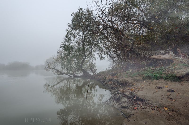 кубань, ноябрь, кубанские туманы, таманский полуостров, темрюк Про ноябрьские туманыphoto preview