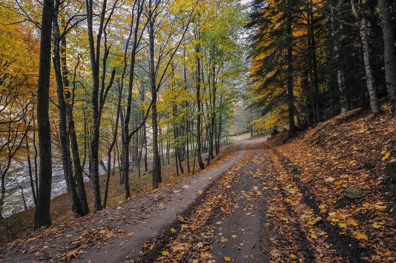 По дороге к Загедану 2photo preview