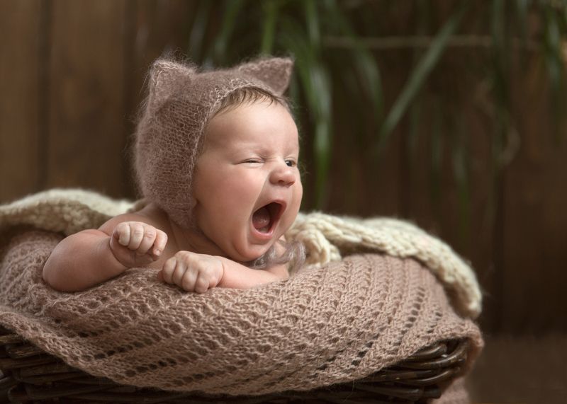 Тигр-р-ра (думает котеночек)photo preview