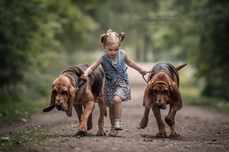 Крошки, за мной!photo preview