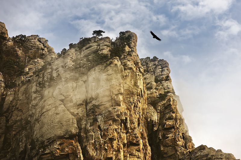 крым, димерджи, вечер, горы Аватар.photo preview