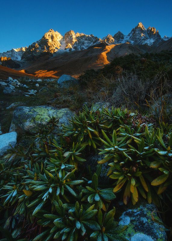 россия, кавказ, северная осетия, горы, ущелье, дигория, рассвет, сумерки, природа, хребет, скалы, небо, река, ледник, болото Осень в Осетииphoto preview