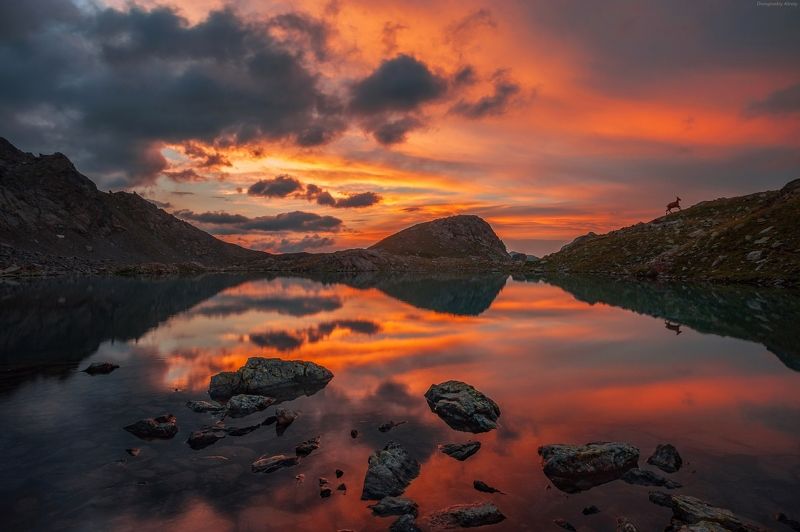 Рассветphoto preview