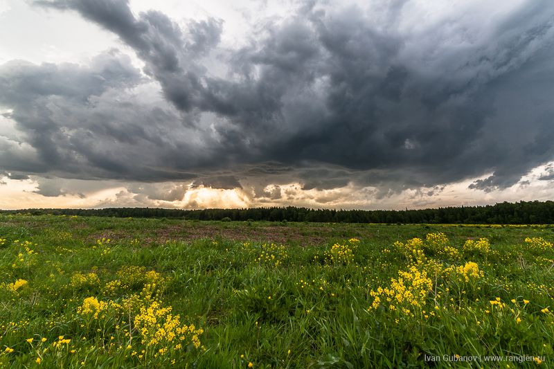 небо, пейзаж, россия, ненастье, гроза, утро, поле Утреннее небоphoto preview