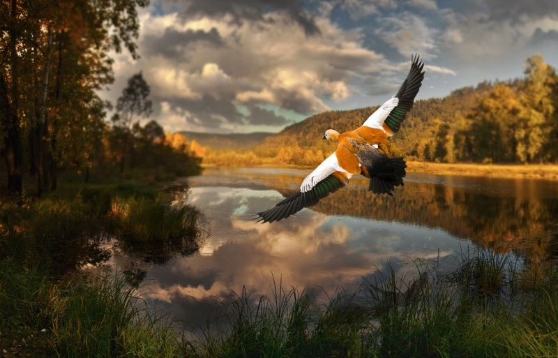 осень в россии Осень в Россииphoto preview