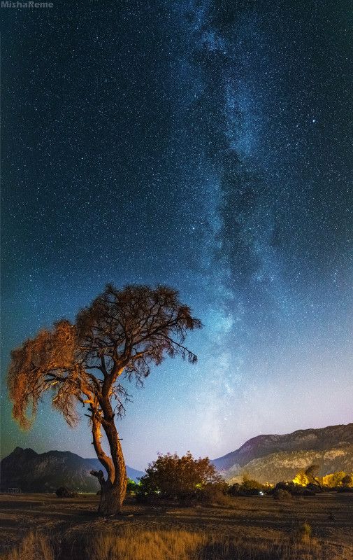 Night idyllphoto preview