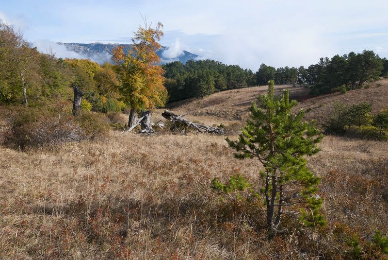 Любимые места..... Осень.....photo preview