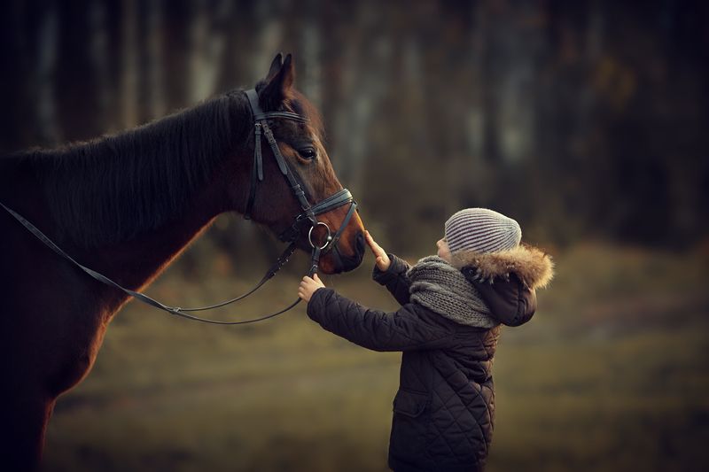 ребенок, лошадь ...photo preview