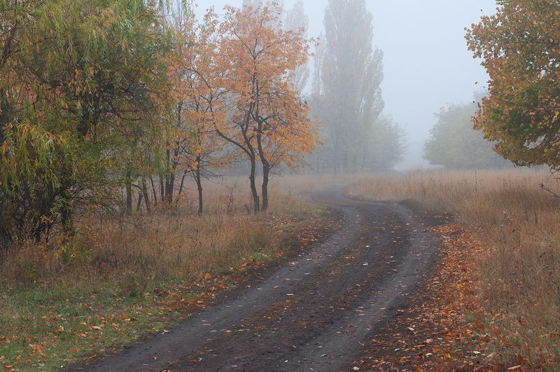 В туманную укутав шаль...photo preview