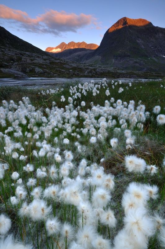 Norway, mirror, mountain, rock, lake Norwayphoto preview
