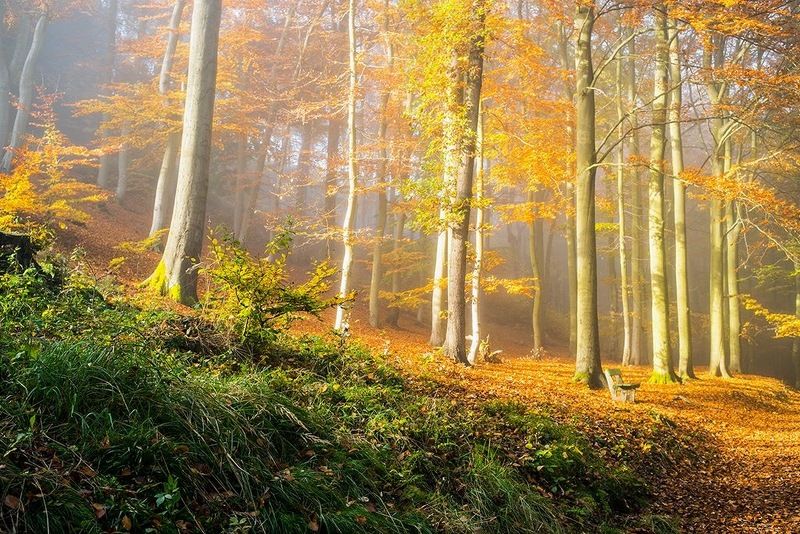 чехия карловы вары Осень в Карловых Варахphoto preview