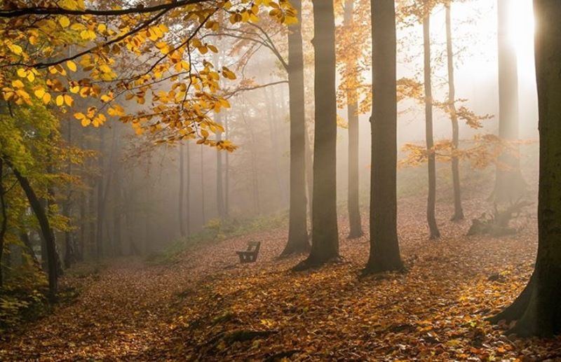 чехия карловы вары осень Золотая осень в Чехииphoto preview