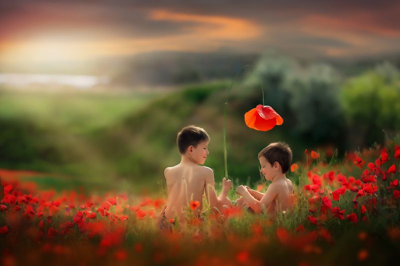 братья Братьяphoto preview