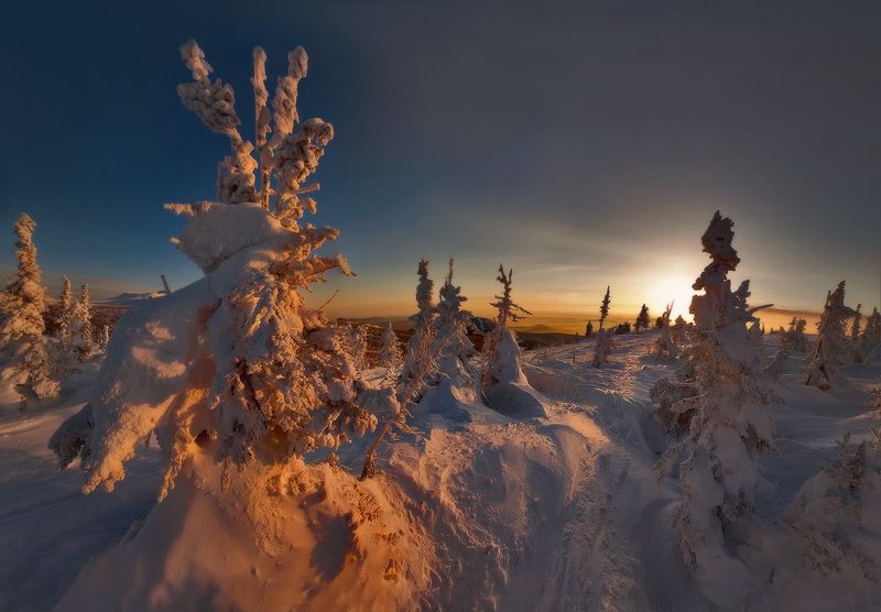 Закат Лес  зимние виды  Загадочный лесphoto preview