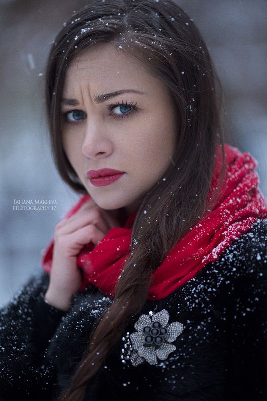 Нота горечи зимней рябиныphoto preview