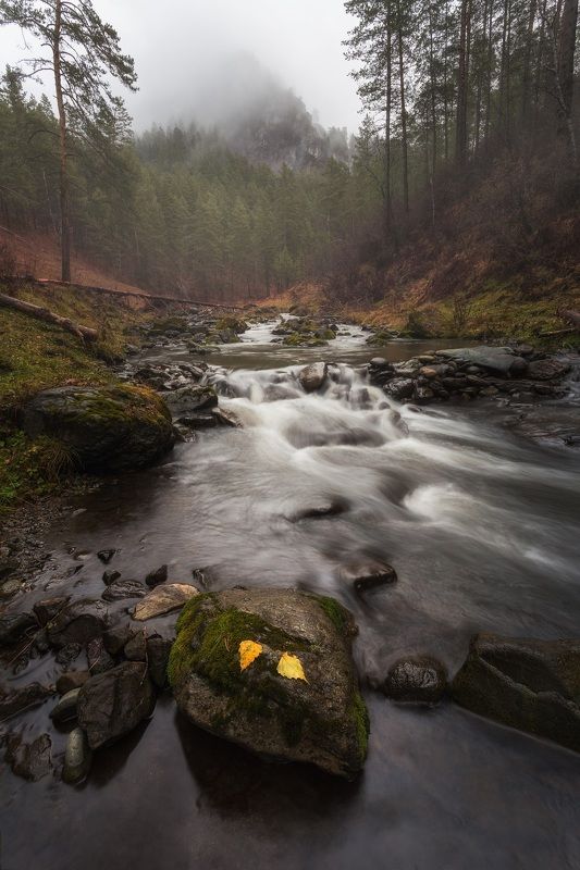 река, лес, осень, алтай ******photo preview