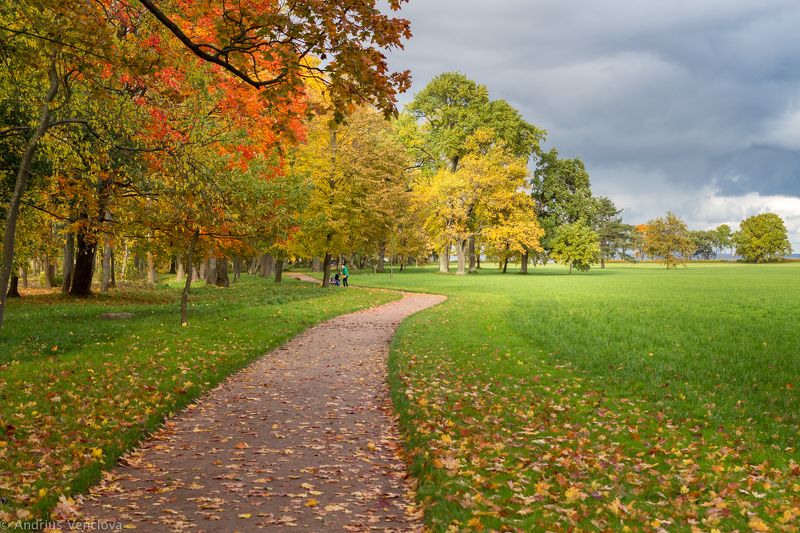 Немного красногоphoto preview