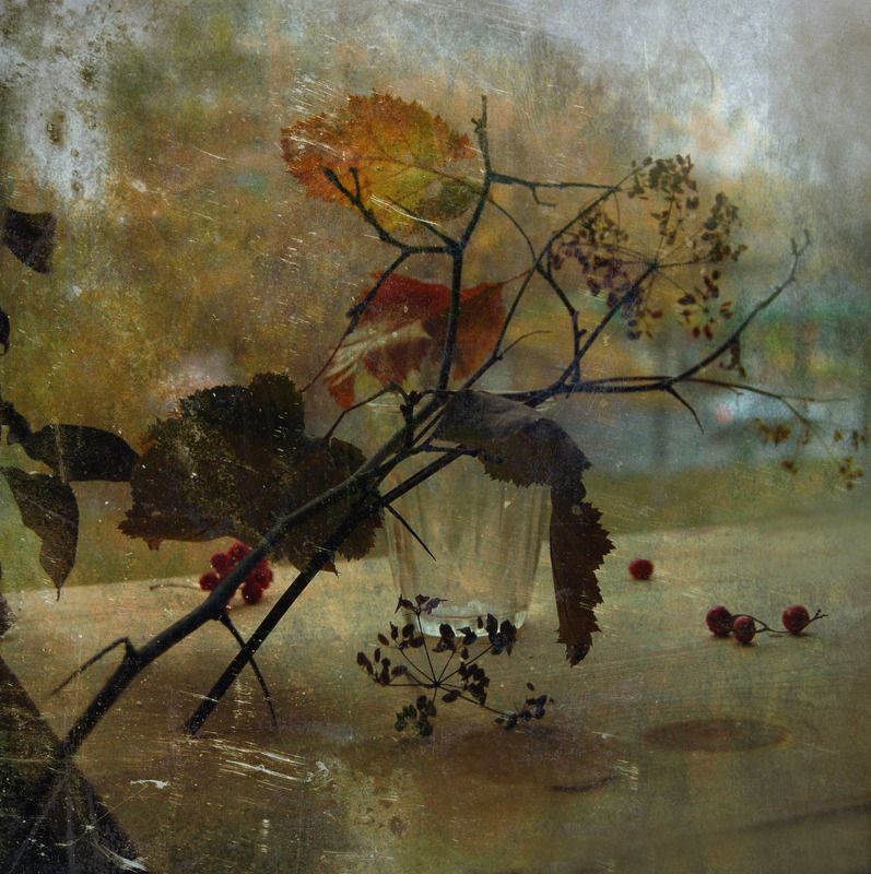 осень, натюрморт -photo preview