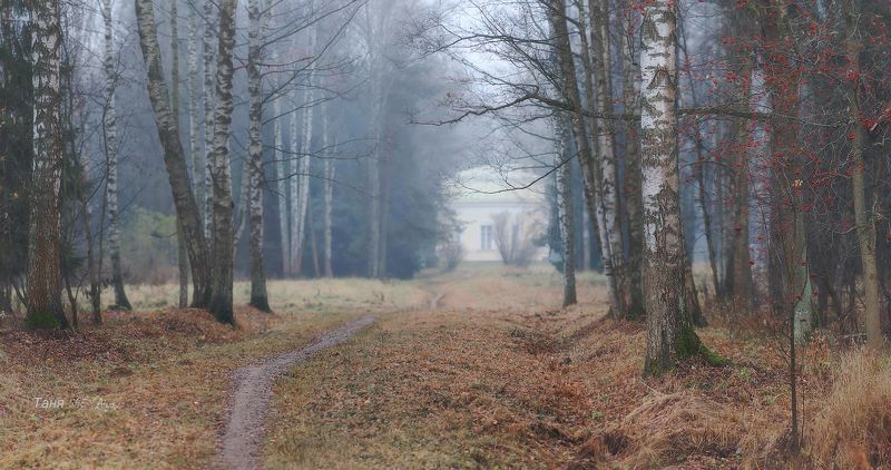 питер, павловск, павловский, осень, пейзаж, туман, павловский парк,  городской пейзаж Ноябрь ...photo preview