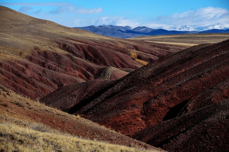 горы горный алтай цвет пейзаж ландшафт Цветные горы Кокоряphoto preview