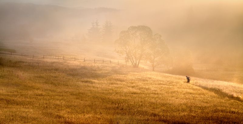 Коси коса, пока роса...photo preview