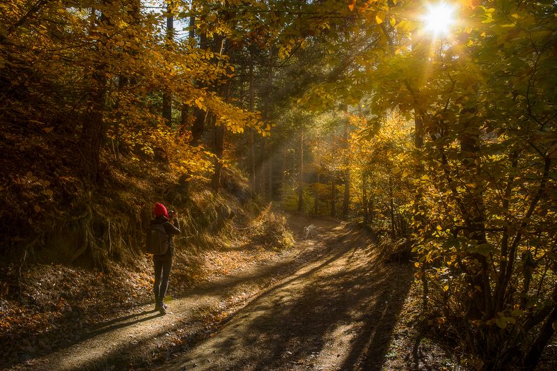 Есенна разходкаphoto preview