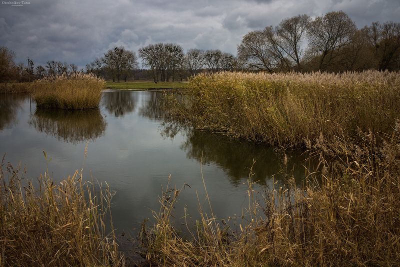 пейзаж,природа,осень,водоем,небо, photo preview