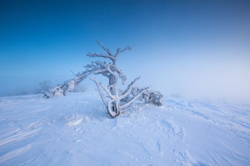 Минимализм photo preview