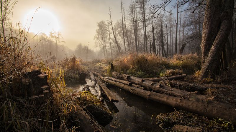 Здесь бродит ноябрь...photo preview