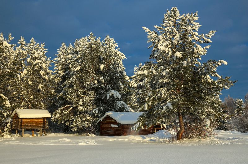 зима, снег, свет, цвет, мороз, музей, Северных ветров поселение фото превью