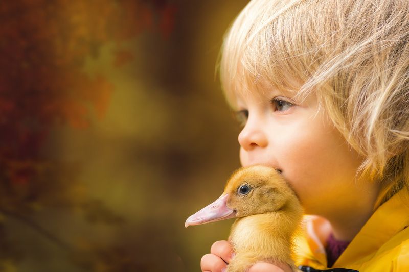 ребенок, мальчик, дети, портрет, глаза, эмоции, children, boy, детский фотограф, утята, ребята и утята photo preview