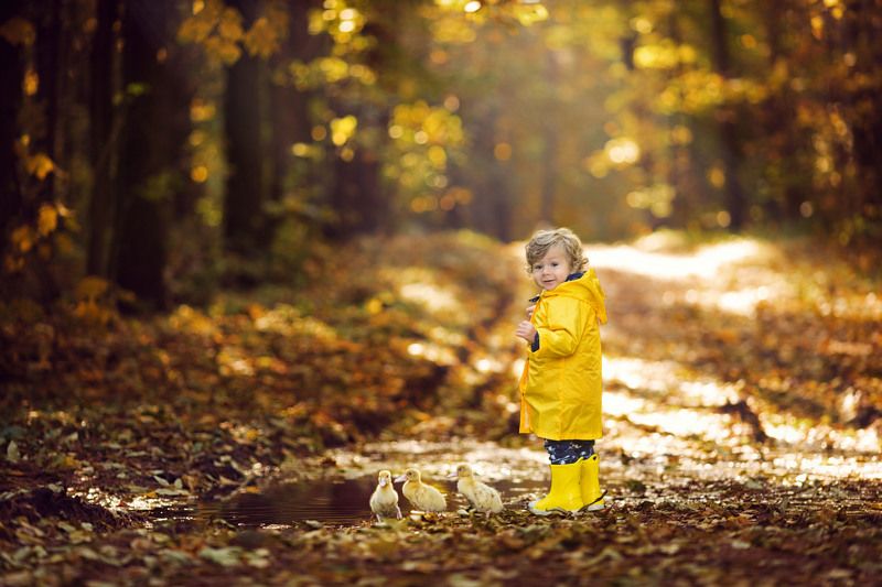 ребенок, мальчик, дети, портрет, глаза, эмоции, children, boy, детский фотограф, утята, ребята и утята 4 little ducks :)photo preview