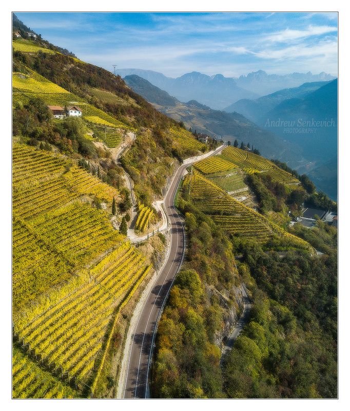 виноградник, дорога, горы Dream Roadphoto preview