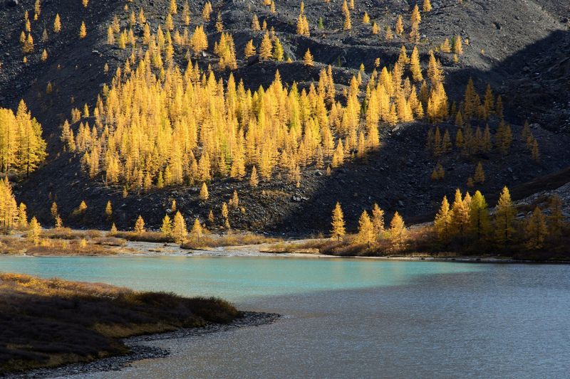 алтай,осень этот зажигательный осенний ритмphoto preview