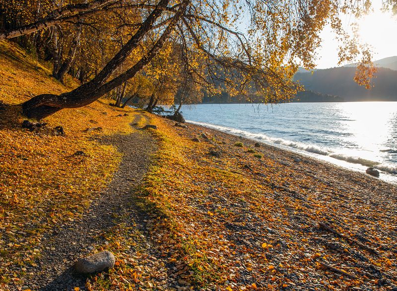 Про тропинки и дорожки.photo preview