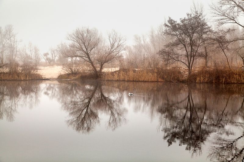 По глади утренней скользя...photo preview