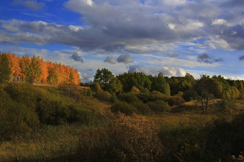 Пейзаж,золотая осень  photo preview