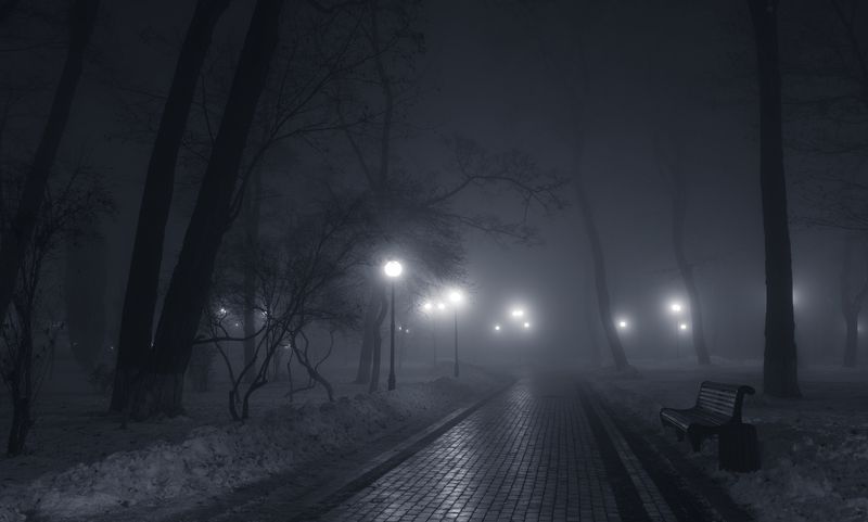 холод, ночь, туман, парк, снег Стирались чёткие черты...photo preview