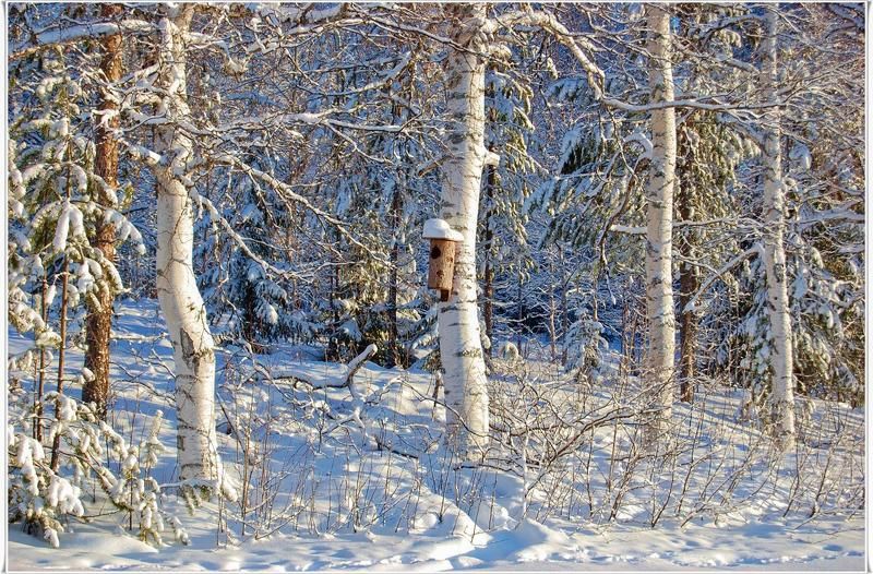 швеция Кто в домике живетphoto preview