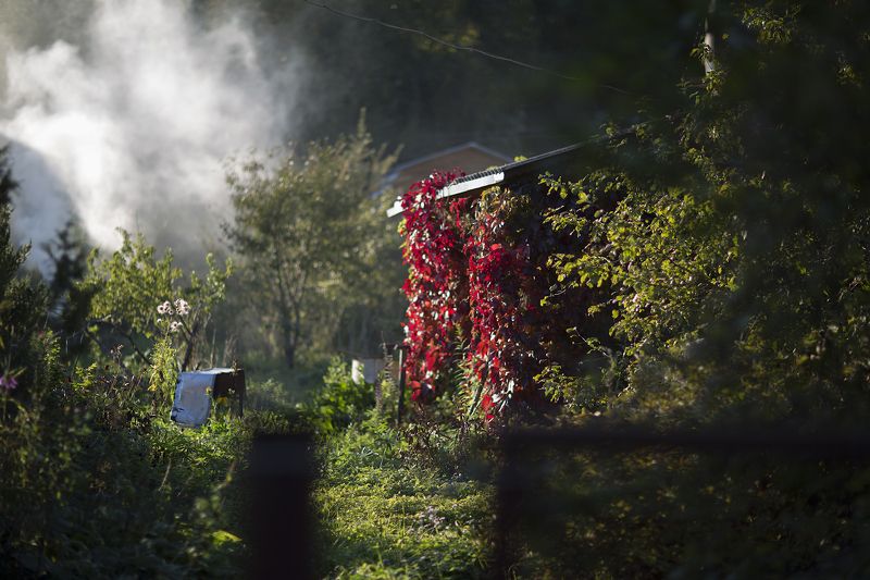 Была осеньphoto preview