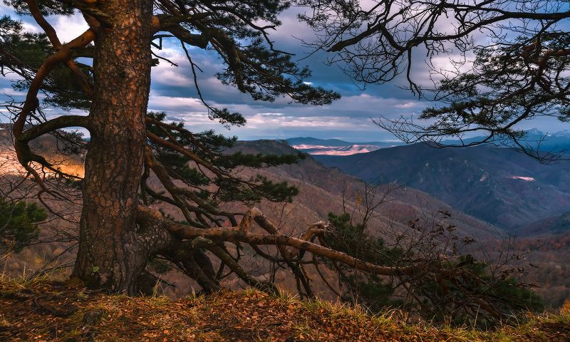 Жить на краюphoto preview