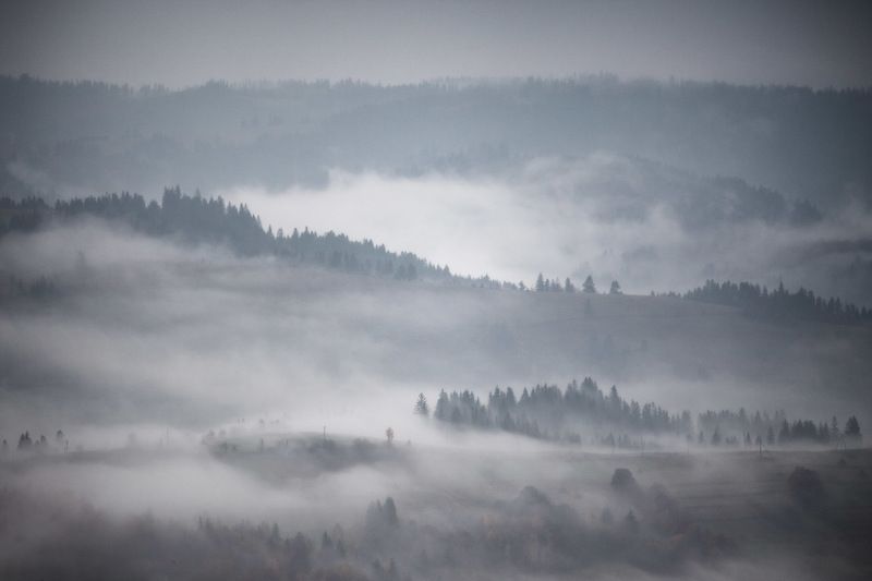 горы, дождь, карпаты, октябрь, осень, туман, утро Утро седоеphoto preview