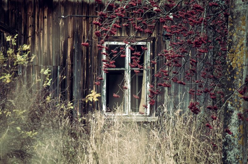 Ноябрь на севере Россииphoto preview